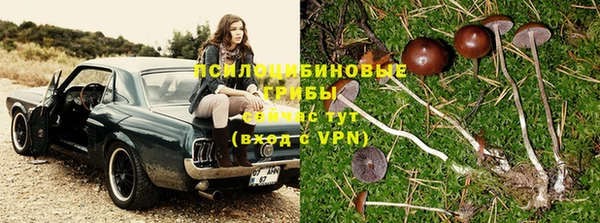 мяу мяу мука Алексин