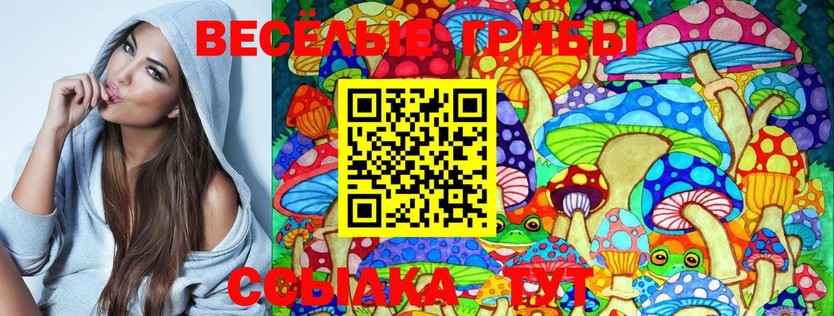 Глазов  Псилоцибиновые грибы Psilocybe  Вход с VPN 