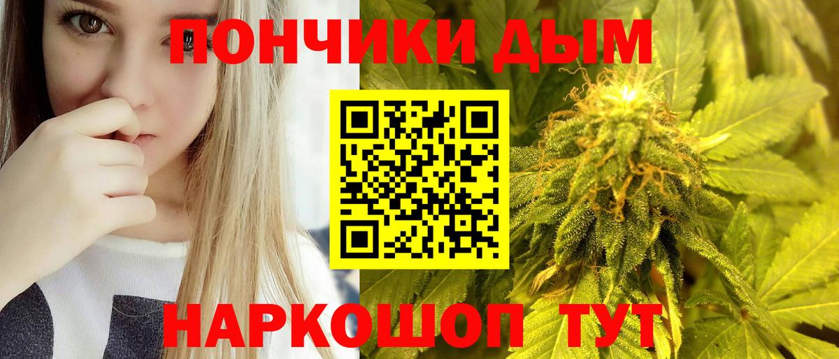 Шишки марихуана план Глазов