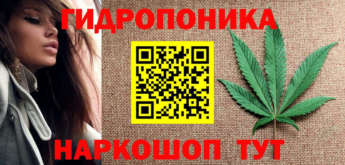 Канабис конопля  Глазов  Канабис Ganja 